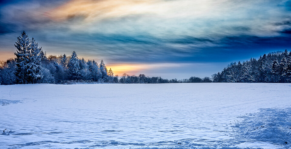 IMG_4339-HDR.jpg - Roscoo