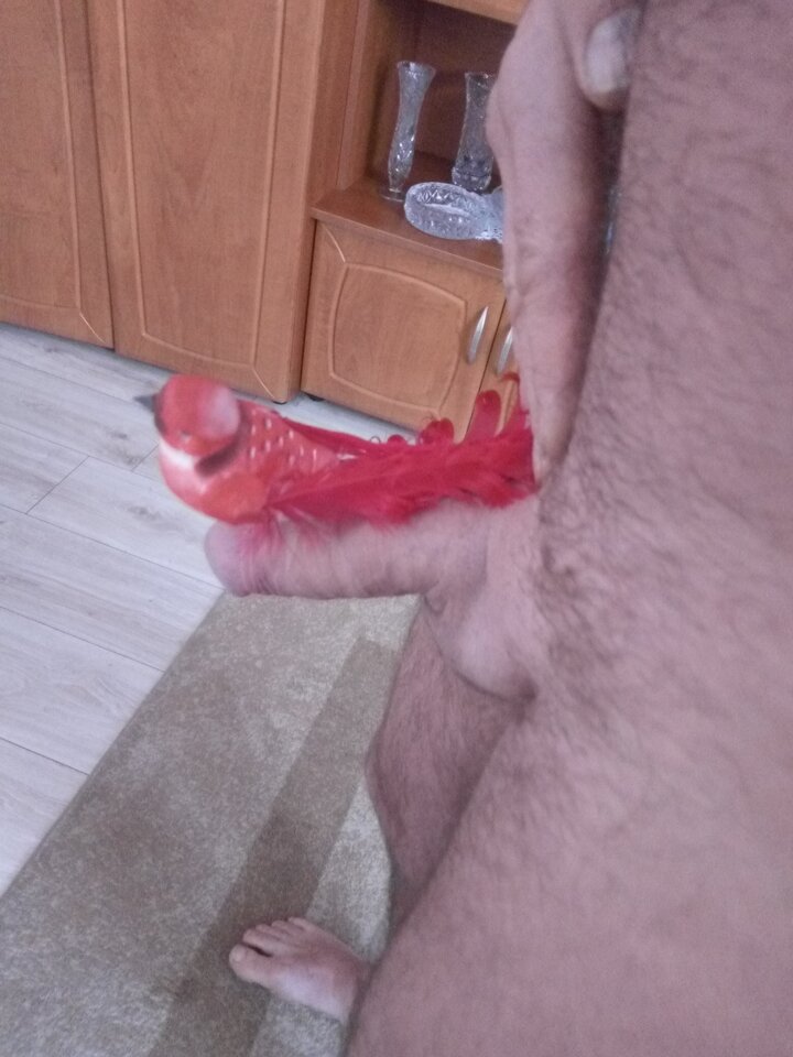 IMG_20221219_145213.jpg - onononaona