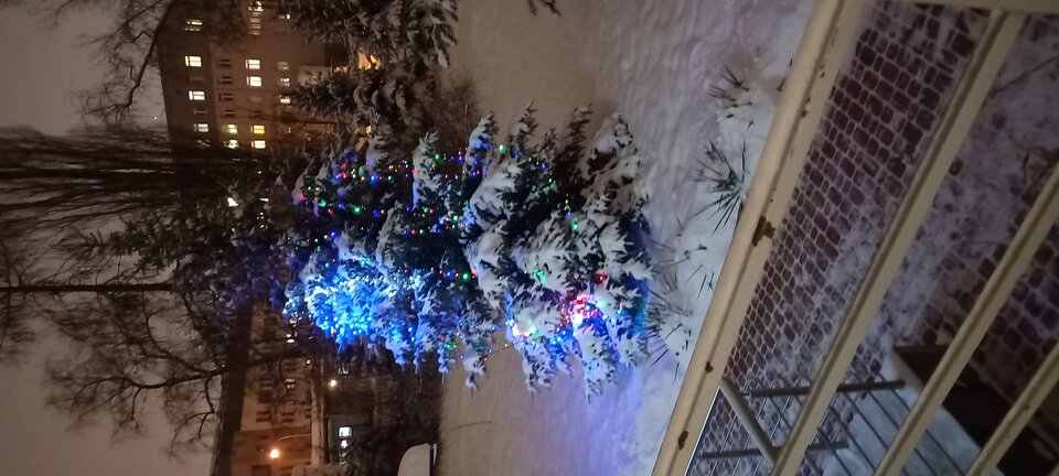 20221217_181730.jpg - rosput_nik