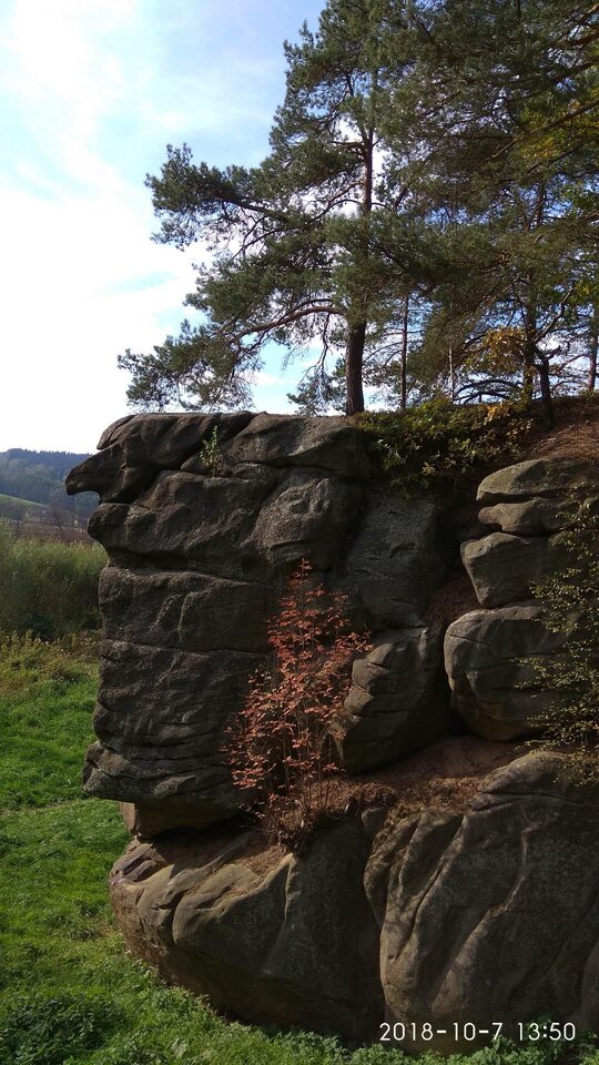 IMG_20181007_135028.jpg - cro111