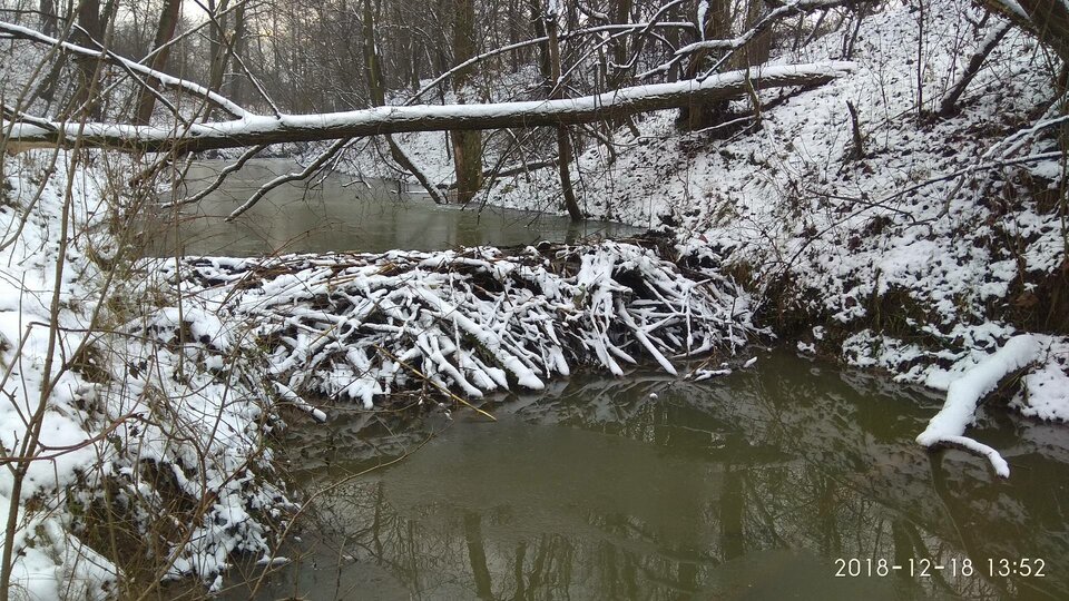 IMG_20181218_135236.jpg - cro111