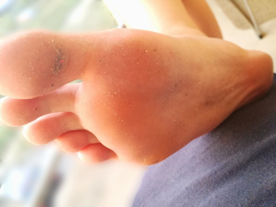 IMG_20221221_152529.jpg - stopkaZkundlem