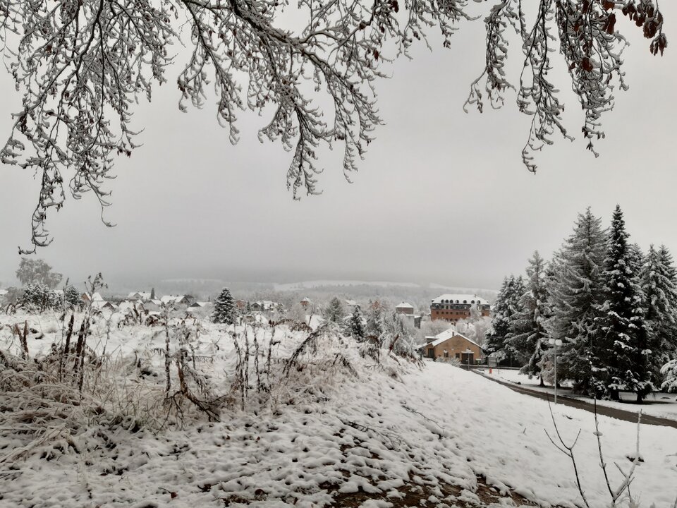 20211127_121301.jpg - torii99