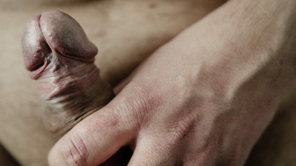 A7407470.jpg - burbonstd