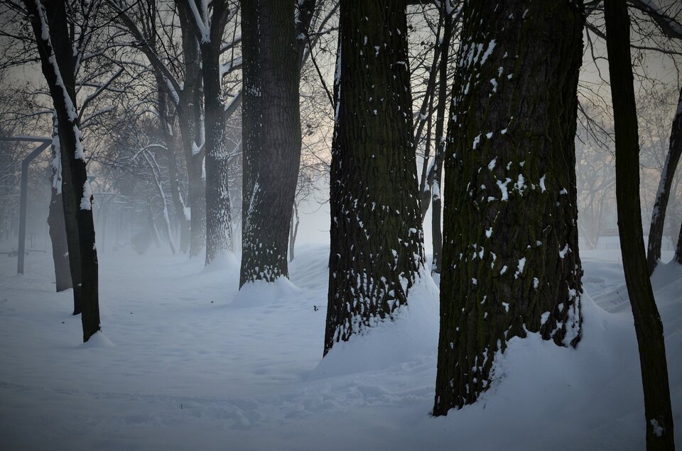 DSC_0284 (2).JPG - Barraquito_83