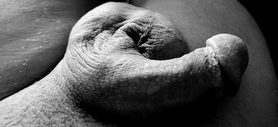 20221223_123336.jpg - P_a_u_l