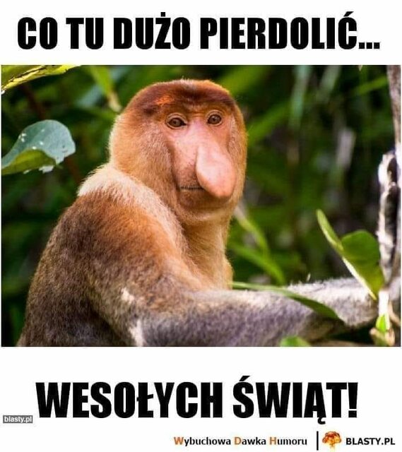 320005938_1094819377853447_8227688077812332984_n.jpg - dareeeek