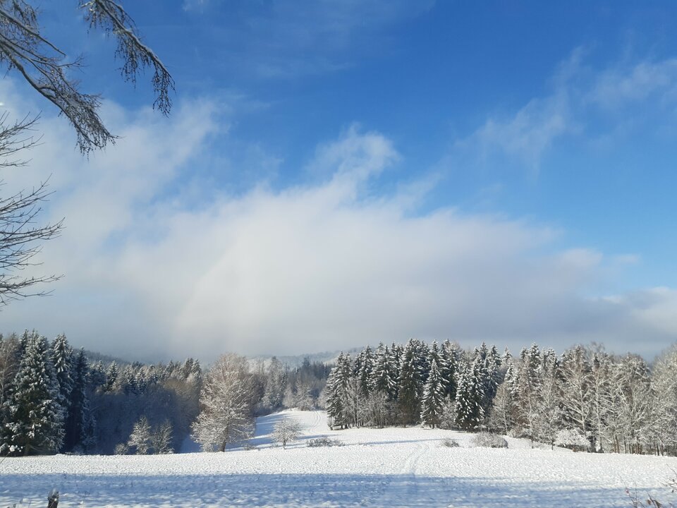 20211127_104953.jpg - torii99