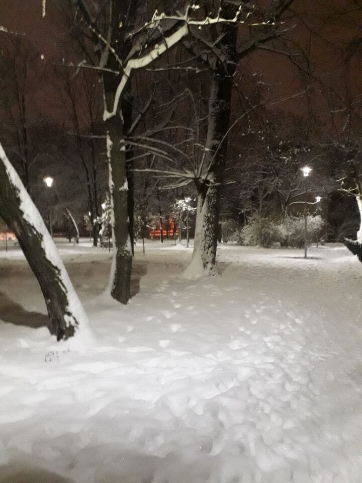 Resized_20221212_061348(1).jpeg - KlaudiaBi1