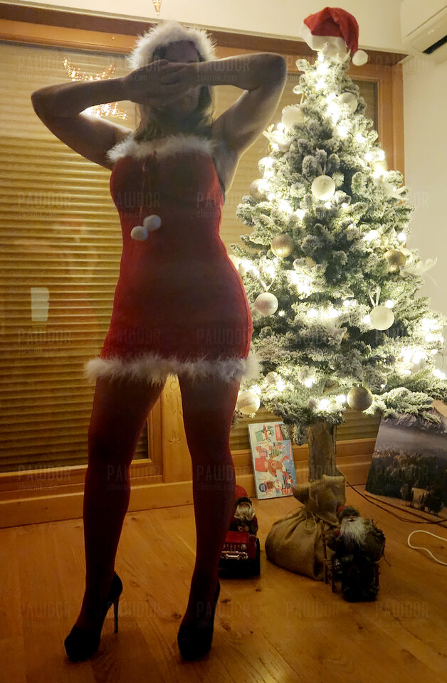 20221226_002353.jpg - pawdor