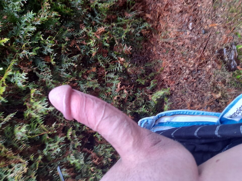 20221226_111803.jpg - hej34