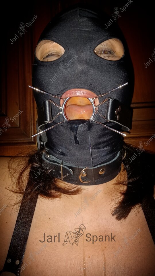 Photo_1672078882976.jpg - JarlSpank