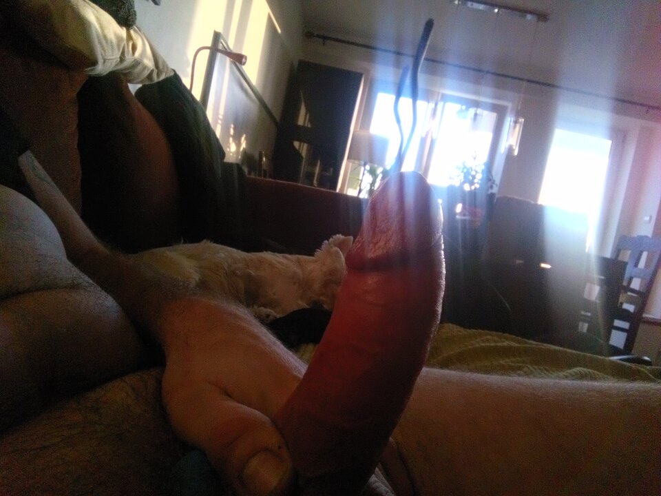 2022-12-2708.27.161647219302.jpg - BiAdi