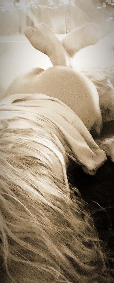 IMG_20221227_161835.jpg - Jawahirr