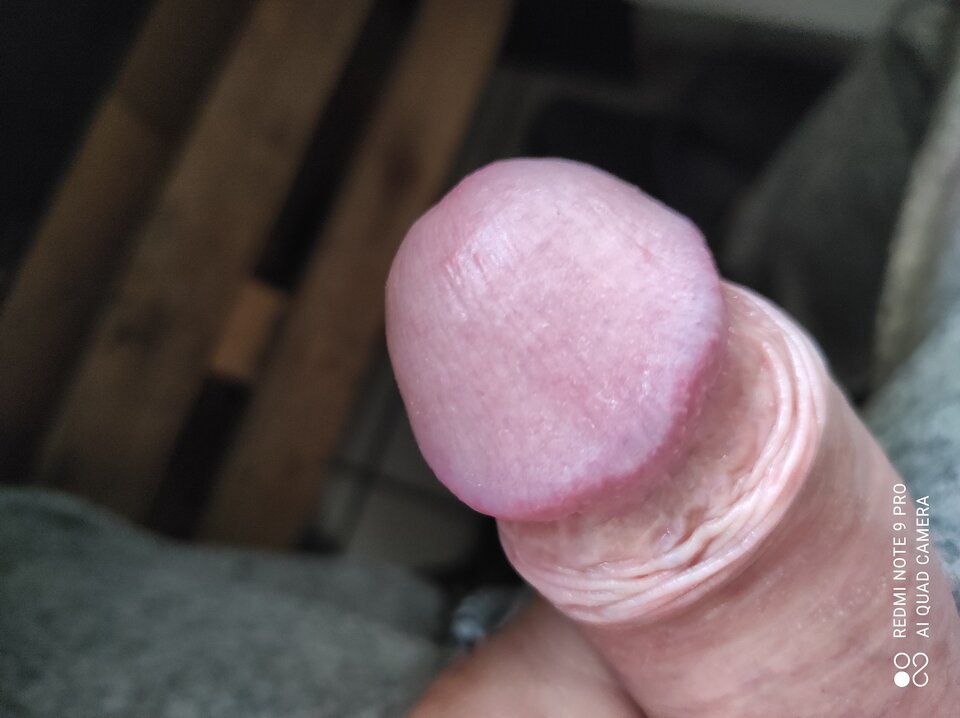 IMG_20221228_084331.jpg - niesforny1983