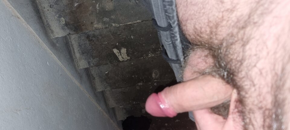 16722372008704526602550552754543.jpg - WyssamCie69