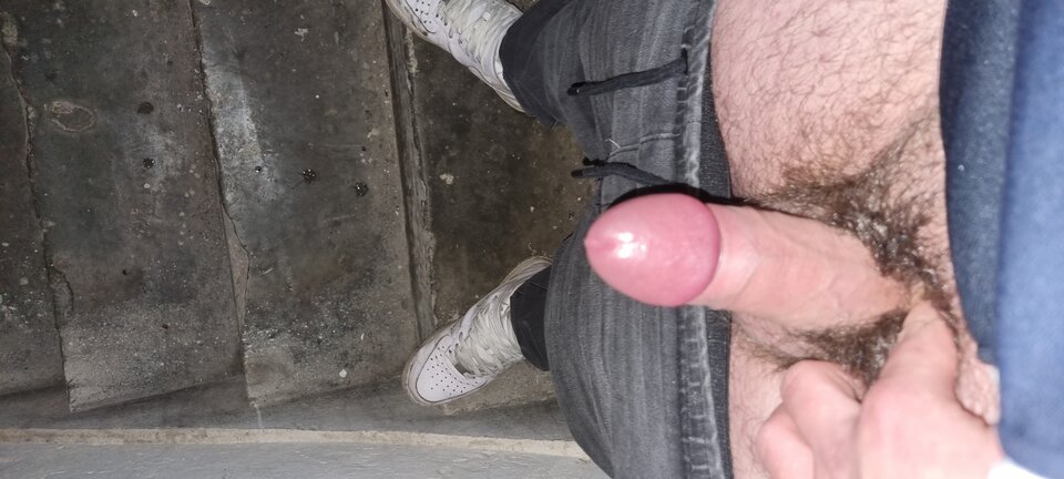 16722384110262710792164744627380.jpg - WyssamCie69