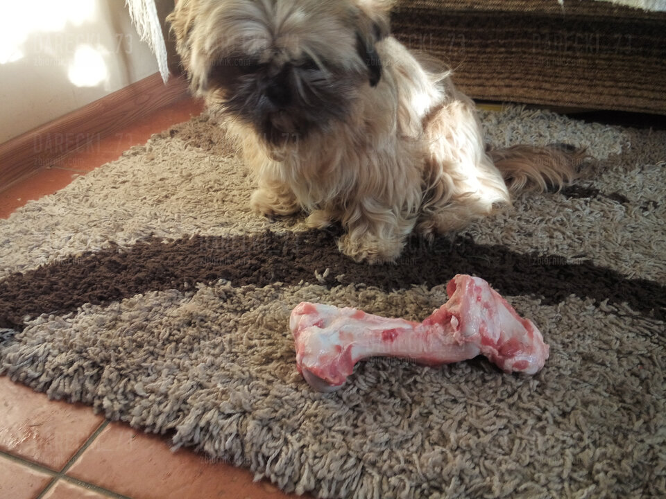 20160116_130146.jpg - Darecki_73