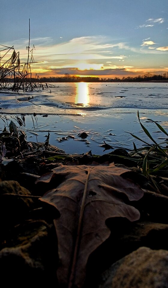 1672239124869-01.jpeg - nowynick79