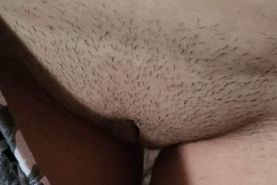 21228_210537960.jpg - MBSL