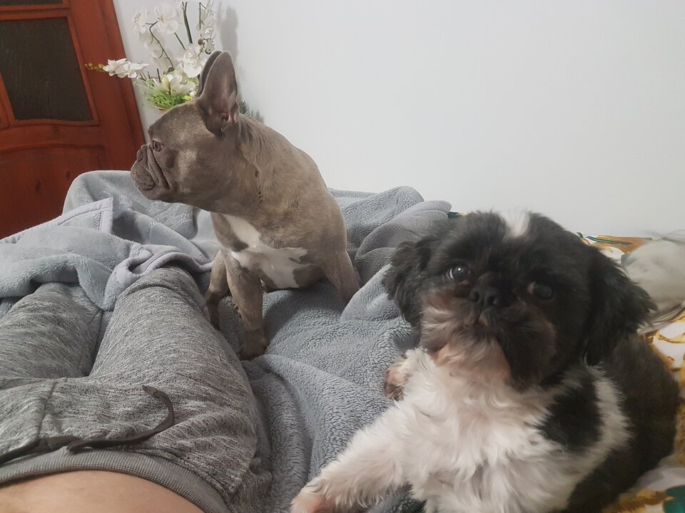 Jeździmy tylko w 3 :)  - Erico1989