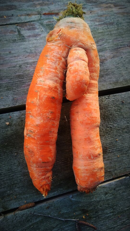 IMG_20221229_140747.jpg - MalaMiWloczykij