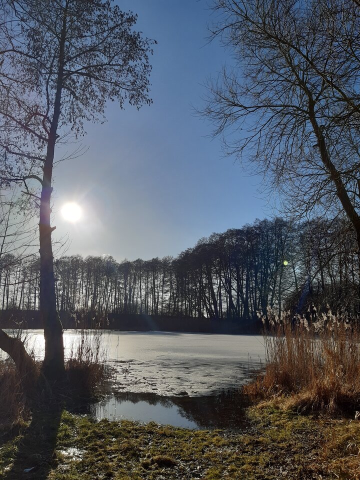 20210227_152414.jpg - torii99