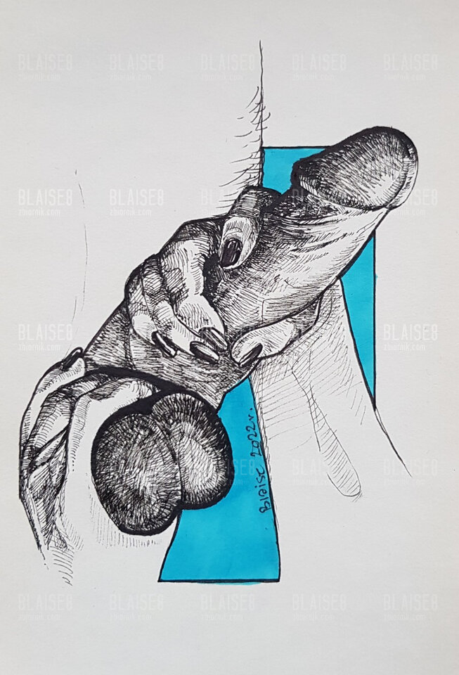Art. No. 199 - blaise8