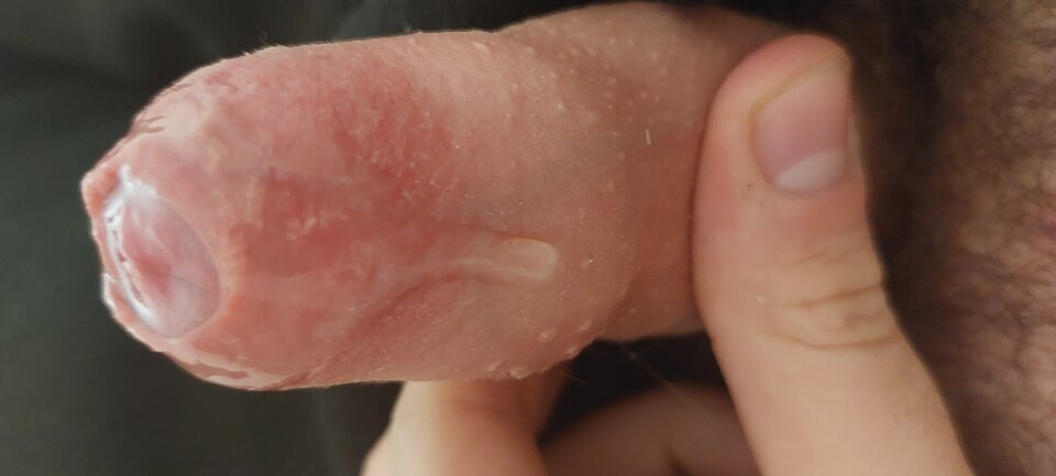 20221230_110155.jpg - Rak223