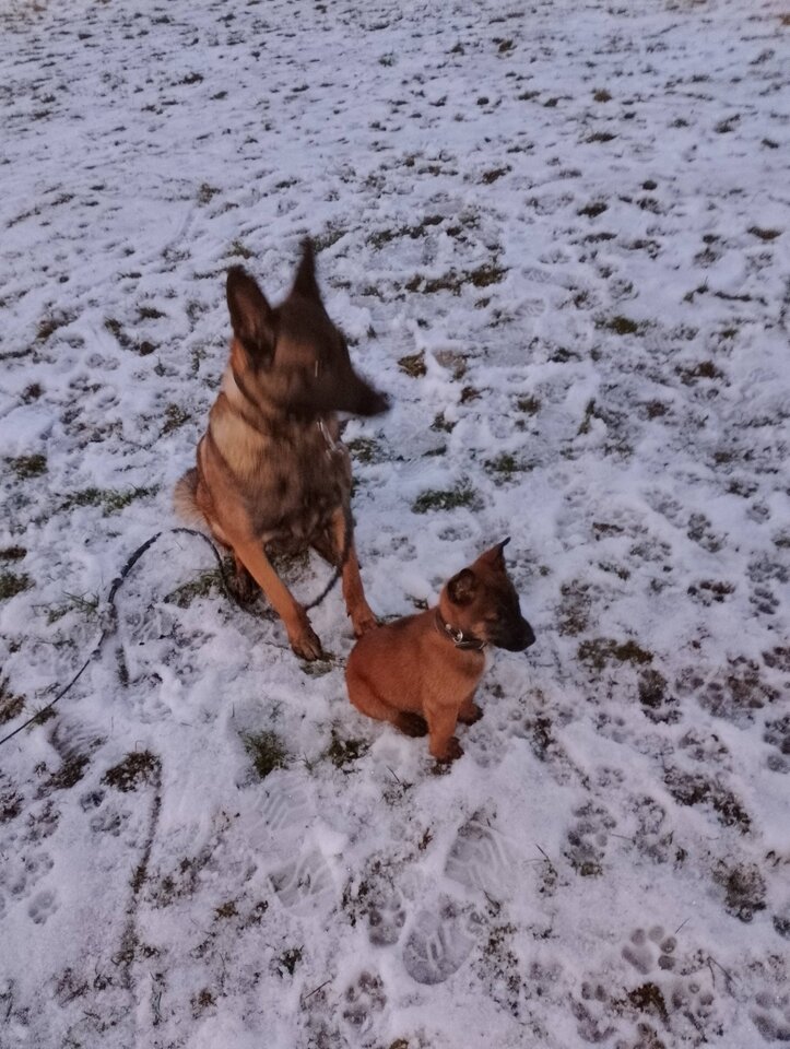 IMG_20221220_155640.jpg - Kalim865