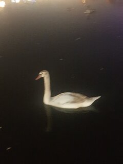 20200303_193806.jpg