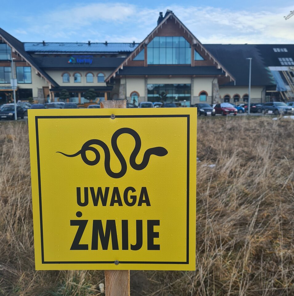 20221231_090233.jpg - haxball