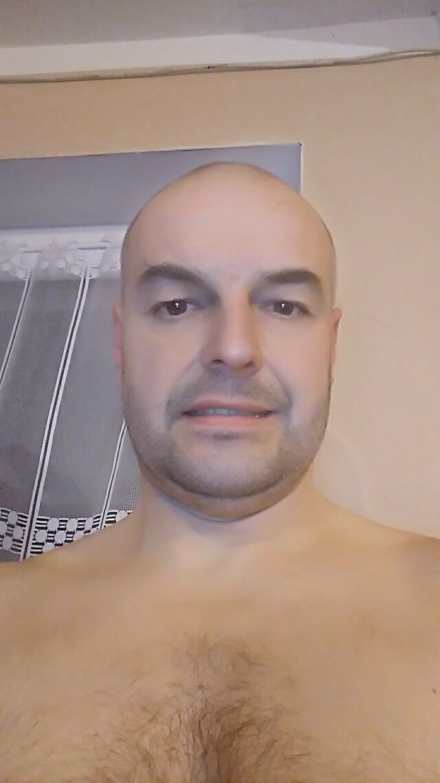samiec5