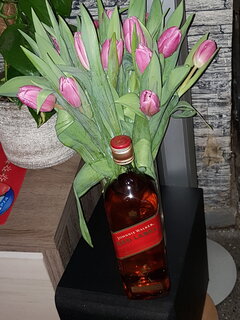 Sezon rozpoczęty