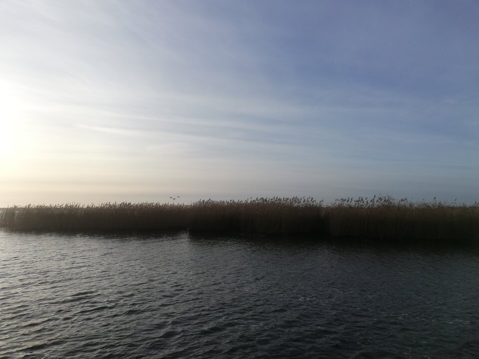 IMG_20221230_135620.jpg - torii99