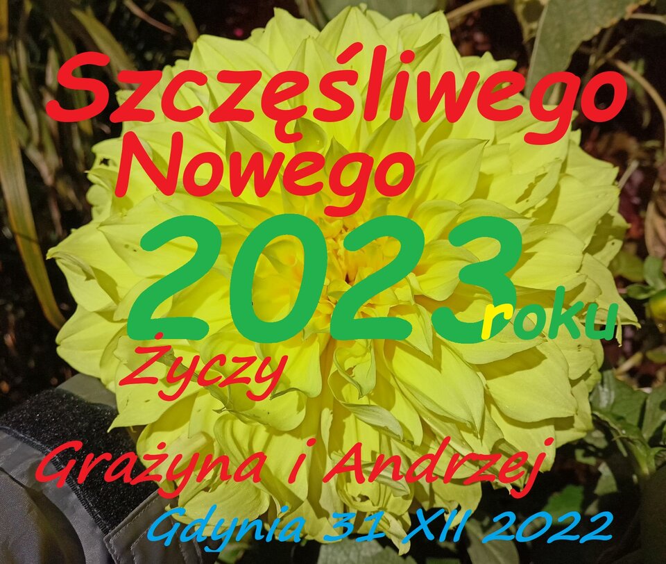 Najlepszego w Nowym Roku - Morsy_dwa