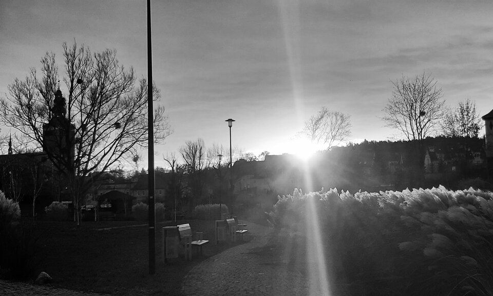 20230101_084957.jpg - dino8