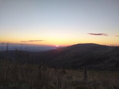 IMG_20210506_051523.jpg