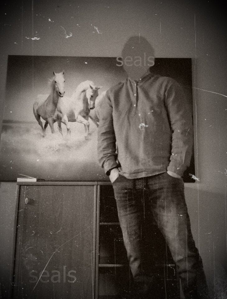 20230103_103006.jpg - seals_bald