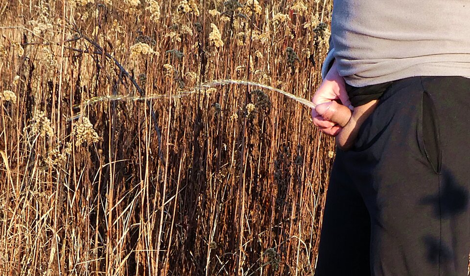 P1010182.JPG - analizator29