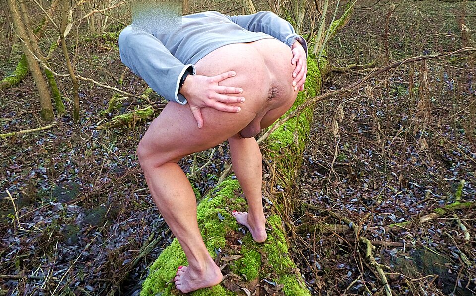 P1010153.JPG - analizator29