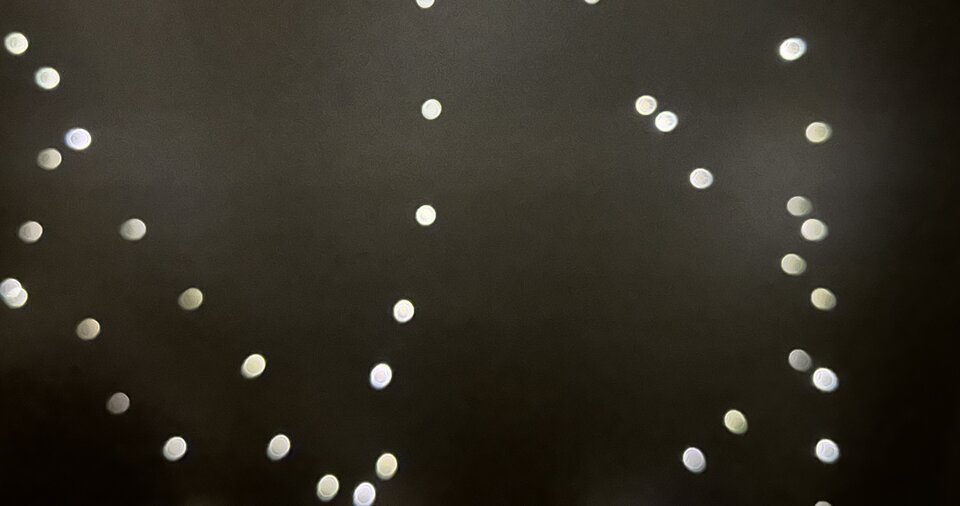 8BC3E37B-1B08-402D-B909-934C4B531AB8.jpeg - mklaktot