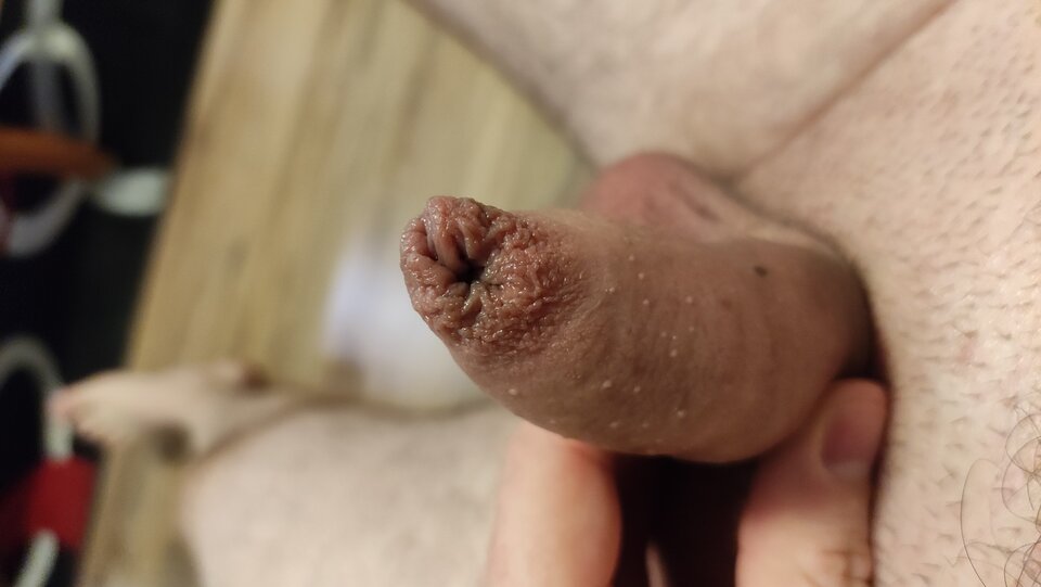 IMG_20230104_181716.jpg - Kriss7788