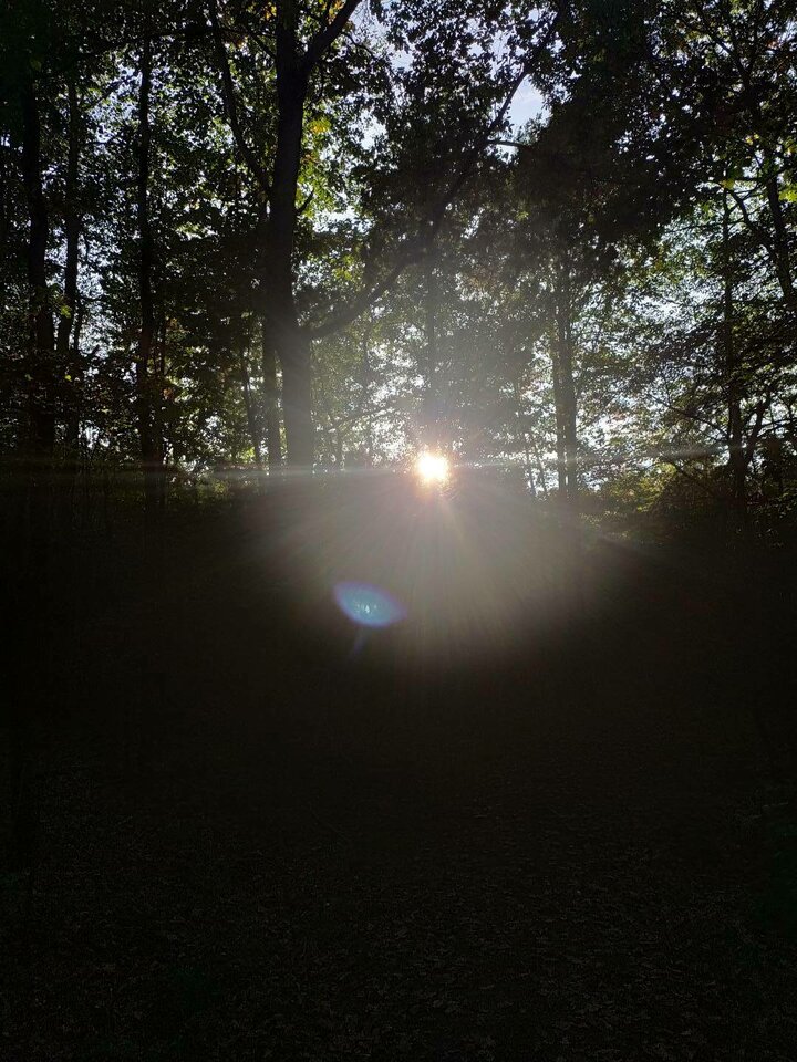 IMG_20211003_163930.jpg - Napaleni75