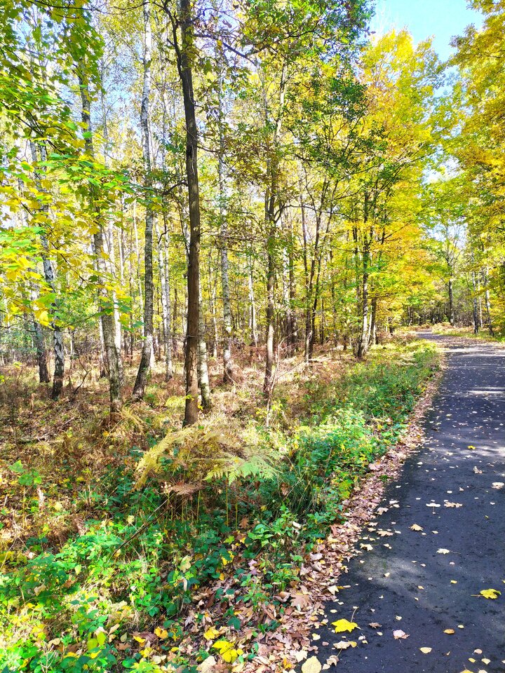 IMG_20211020_114602.jpg - Napaleni75