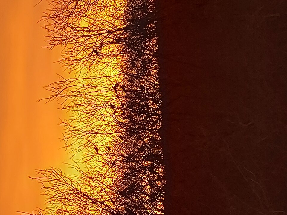 20230104_081048.jpg - misiak37szcz