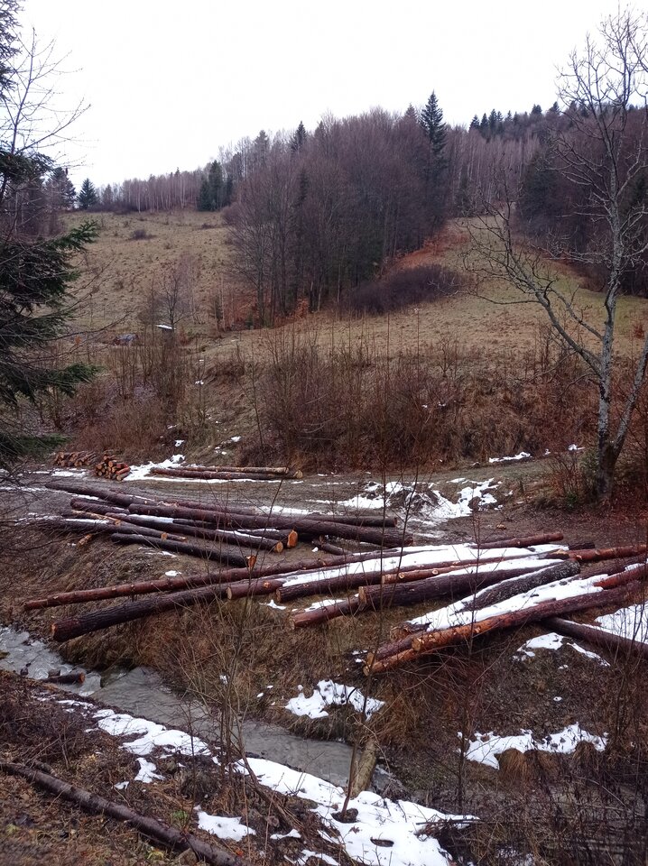 2023-01-0515.15.253813136408041227630.jpg - tom6970