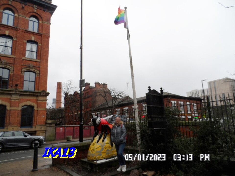 SAM_4371.JPG - ika13