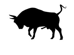 bull.jpg
