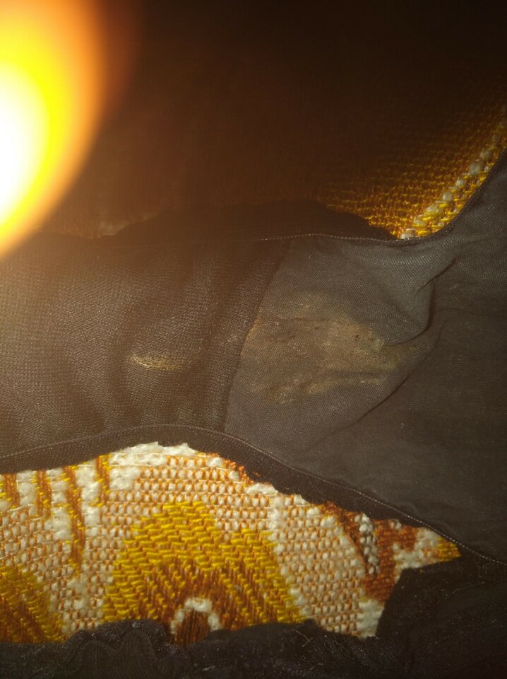 7ab145e494d4417c91a55fc411cf882f21e58e4a5614482caf05566ca1ad044e - Cichy77biDG